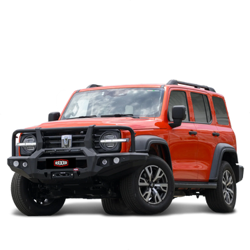 Raxar Loop Bull Bar – Suits GWM Tank 300 | Brixton 4x4 - Brixton 4x4 - Buy Online Now!