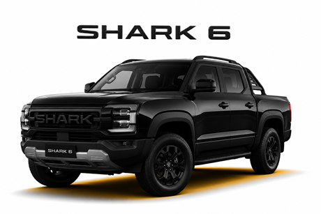 Shark 6