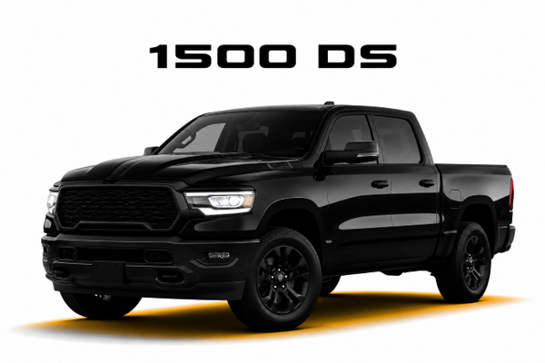1500 DS