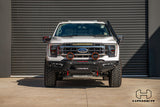 Ford F-150 with Hamer Atlas Series bull bar, driver side angle