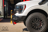Hamer Atlas Series bull bar fitted to Ford F-150, rear three-quarter view