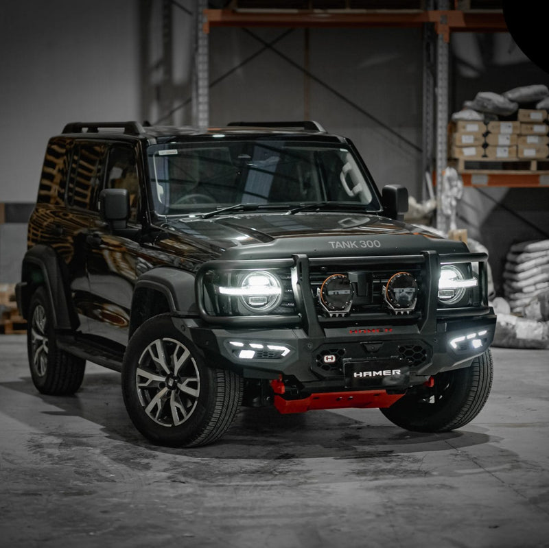 gwm tank 300 bull bar