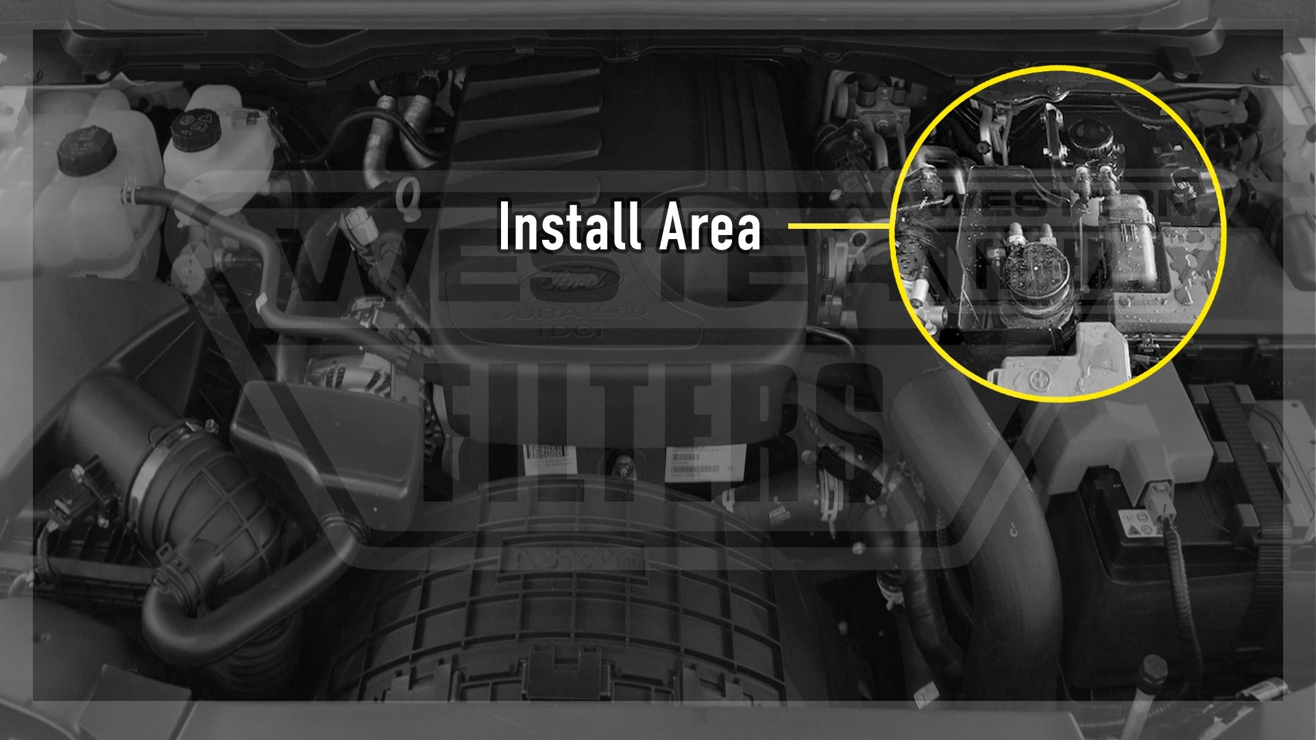 WF Donaldson Pre-Filter Kit - Ford Ranger & Everest 3.2L TD (2015-2020)