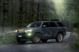 Black Rhino Etosha BR017 - Matte Bronze