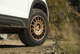 Black Rhino Voll BR015 - Matte Bronze