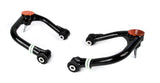 Outback Armour Fixed Upper Control Arm Kit for Ford Everest 2022 onwards (Suits Alloy Spindle)
